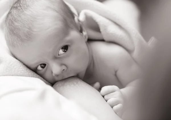 stock image Breastfeeding