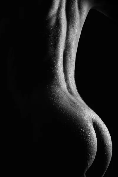 stock image Fine art nude